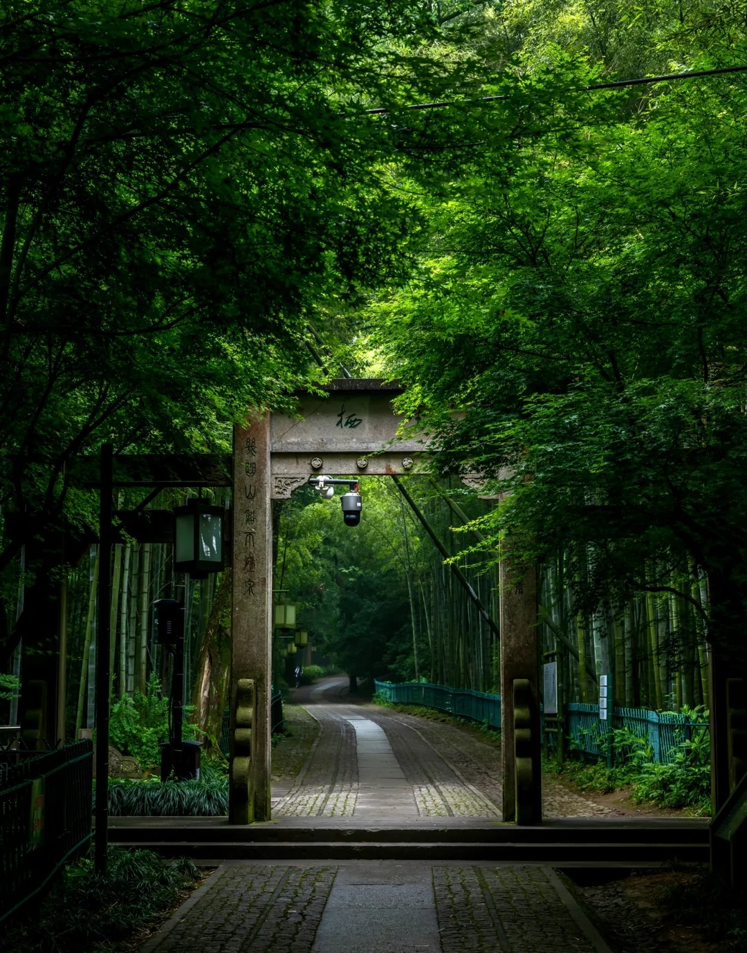 杭州的下雨天我最喜欢去的地方是云栖竹径_1_雅总牙不肿_来自小红书网页版.jpg